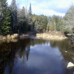 Meet your Posher, Kenneth